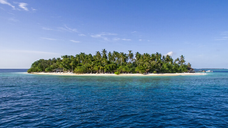 Malahini Kuda Bandos